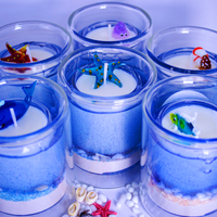 Aquarium Sage and Sea Salt Gel Wax Scented Candle