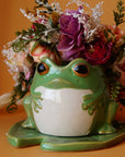 Froggie Prinze Jr on a lil lily pad Oil Burner