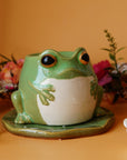 Froggie Prinze Jr on a lil lily pad Oil Burner
