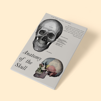 SKULL ANATOMY © - A4 Print - Original Artwork by RinkyDink©