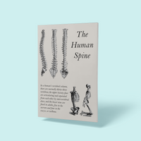 SPINE ANATOMY © - A4 Print - Original Artwork by RinkyDink©