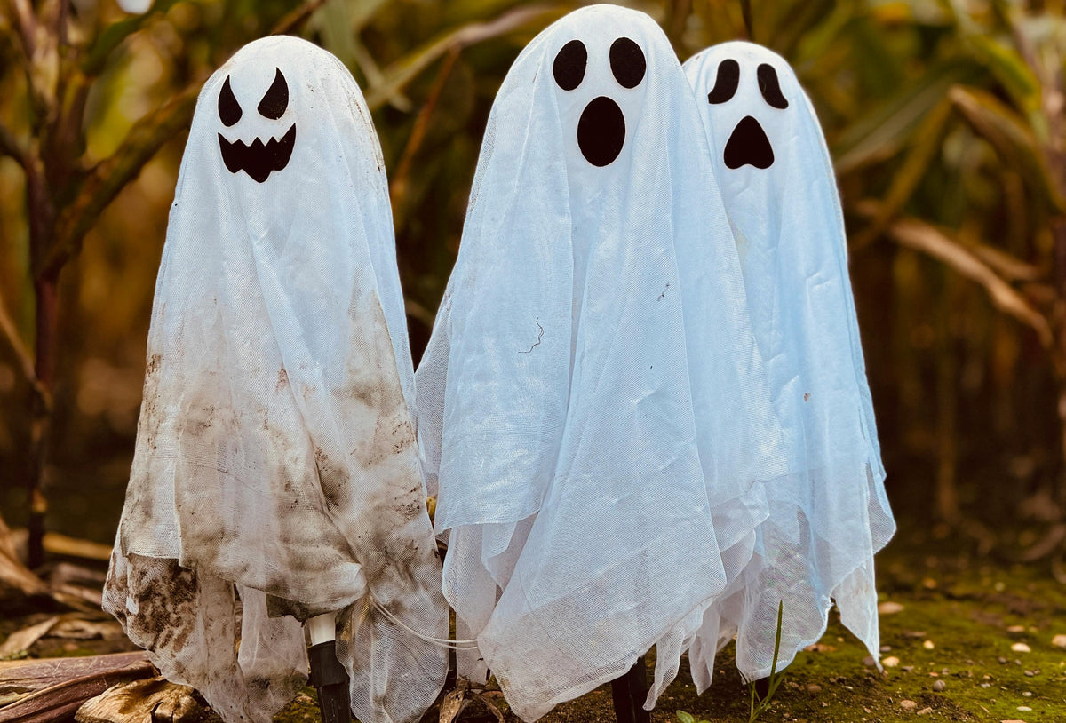 The 2025 Halloween Collection