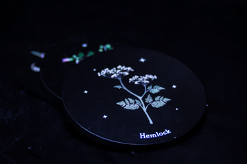 Hemlock Poison Candle Coaster