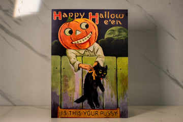 Is This Your Pussy? Postcard Print