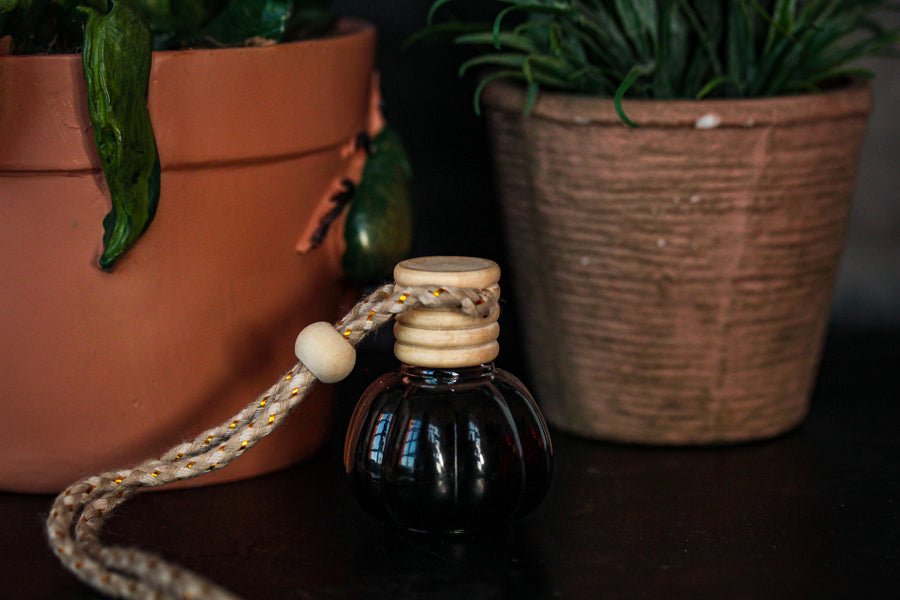 Pumpkin Shaped Car Diffuser Freshener