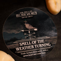 Smell Of The Weather Turning Doll Head Wax Melts (VG)