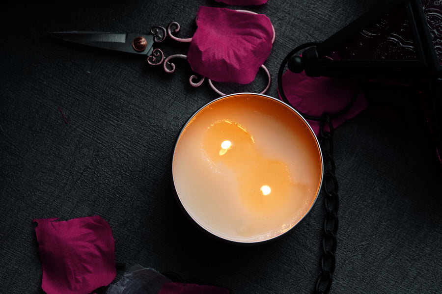 The Dark Library Scented Candle (VG)
